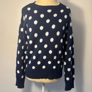 Blue Sweater with White Polka Dots